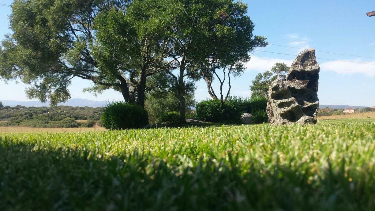 Majore Olbia