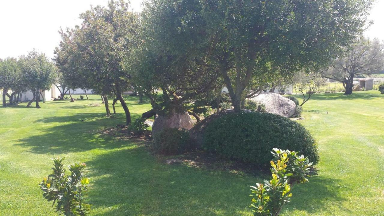 Majore Bed & Breakfast Olbia