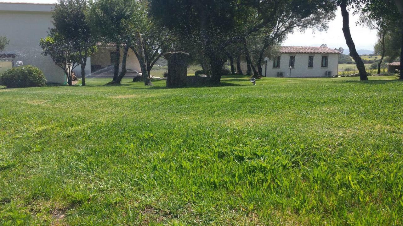 Majore * Olbia